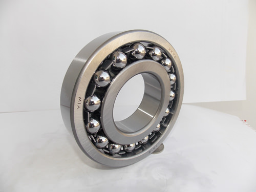 Customized Self-Aligning Ball Bearing